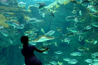 The Underworld 1