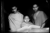 The Reading 3