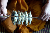 Fish offering